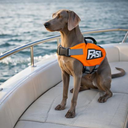 Dog Life Jacket