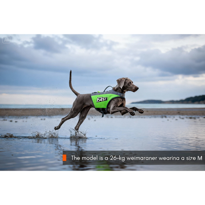 Dog Life Jacket