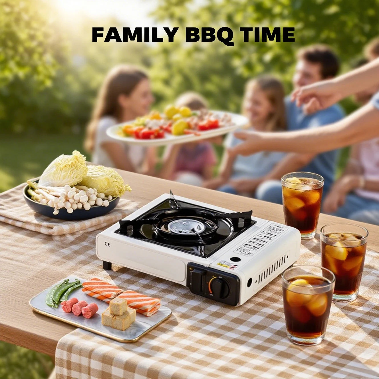 Portable Cartridge Gas Stove