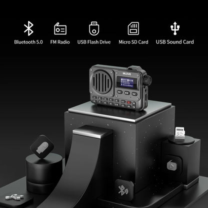 Super-Portable Bluetooth FM Radio