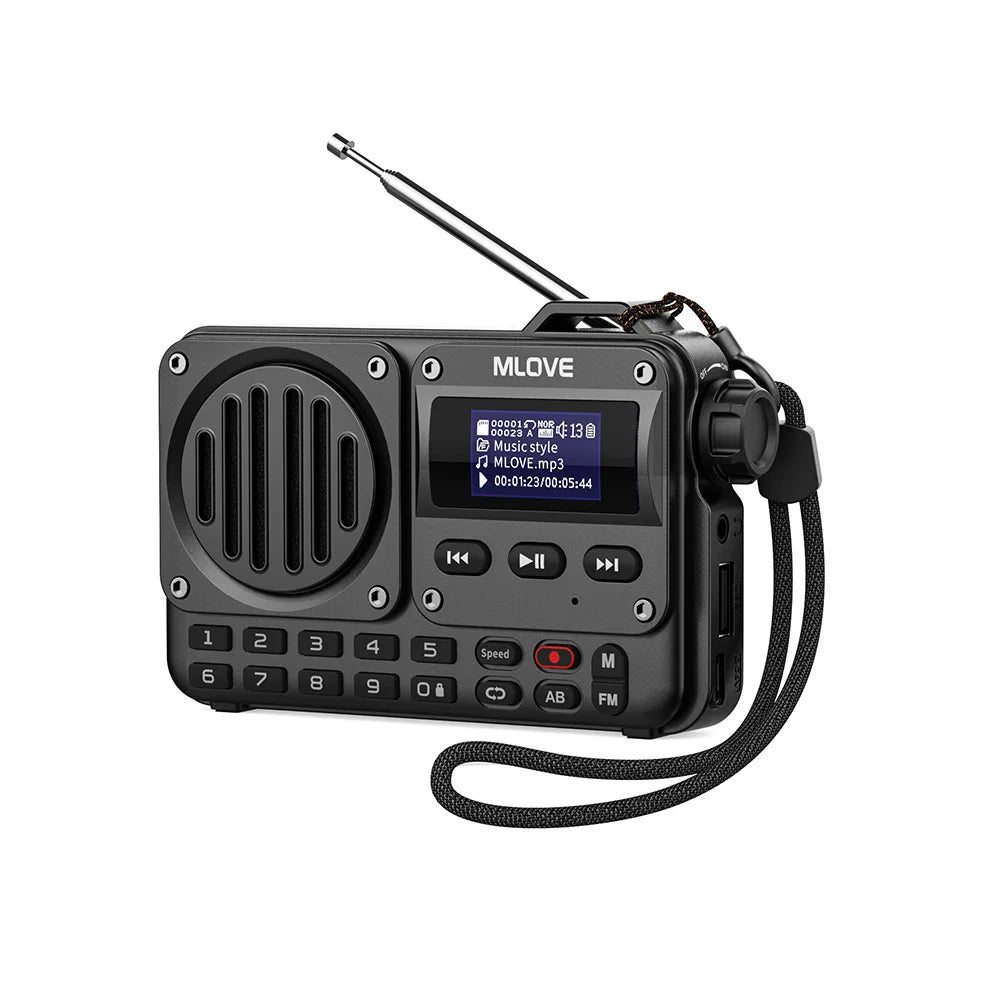 Super-Portable Bluetooth FM Radio